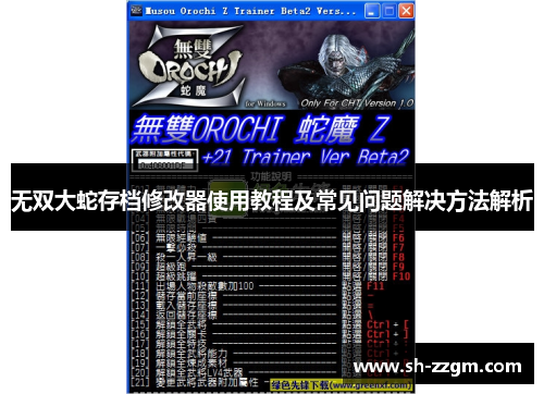 无双大蛇存档修改器使用教程及常见问题解决方法解析